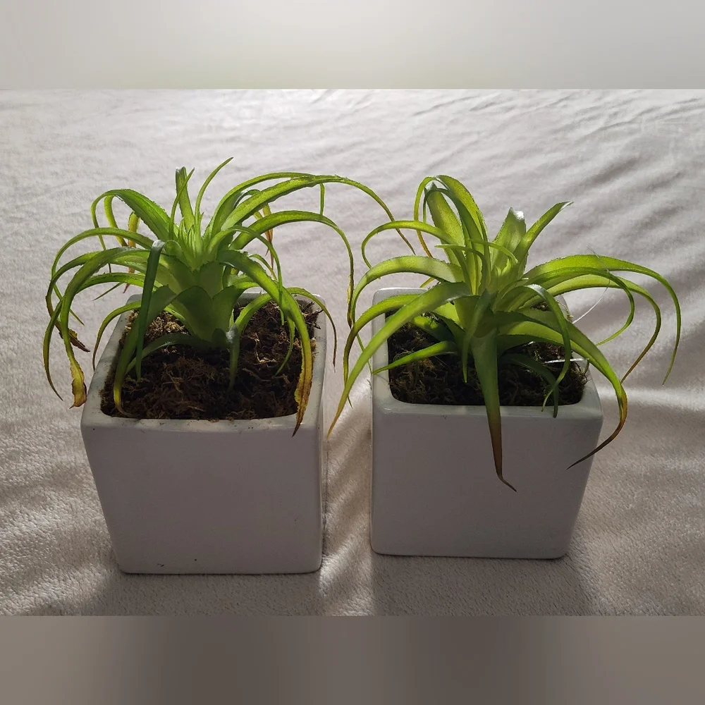 2 Green Faux Succulent in White Planter Set